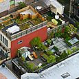 Loft-sur-toit-terrasse-new-york-450x299