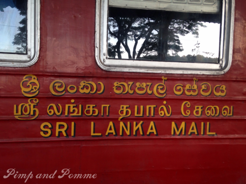 Sri-Lanka-voyage-kid-friendly-kit-longs-trajets-kids-ludomus