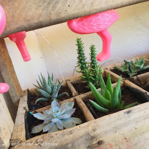 DIY-casier-bouteilles-mini-jardin-succulentes