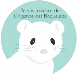 Badges-des-blogueuses9-300x300