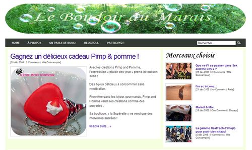 web/ Le Boudoir du Marais -dec 09-